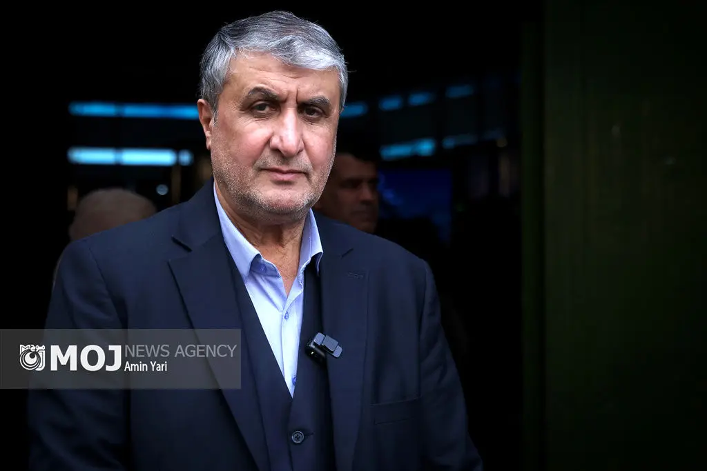 آژانس حق ادعای بازرسی از مراکز مورد حمله را ندارد