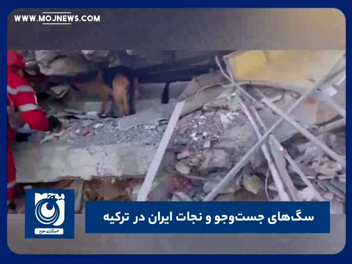 سگ‌های جست‌وجو و نجات ایران در ترکیه