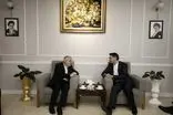 سفر وزیر میراث فرهنگی، گردشگری و صنایع دستی به کیش + فیلم