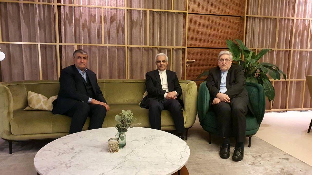 ورود رئیس سازمان انرژی اتمی ایران به وین 