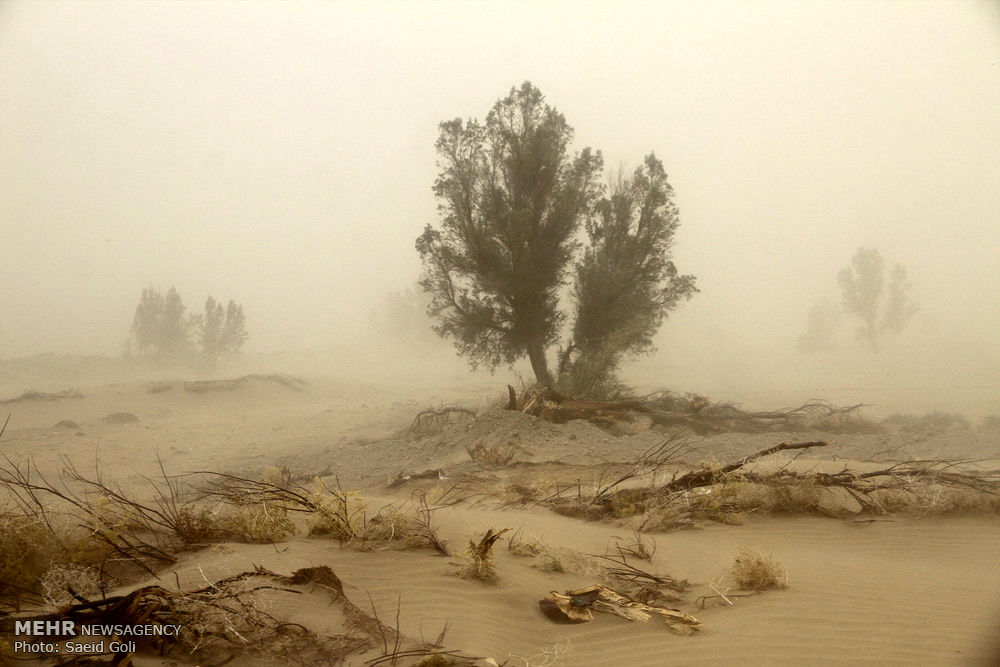 وزش باد شدید همراه با گردوخاک در سیستان/دریای عمان مواج می شود