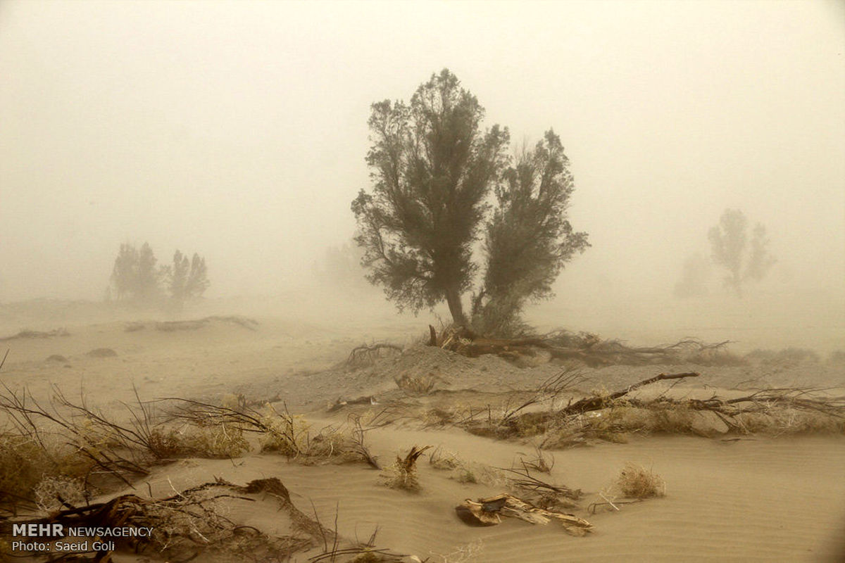 وزش باد شدید همراه با گردوخاک در سیستان/دریای عمان مواج می شود