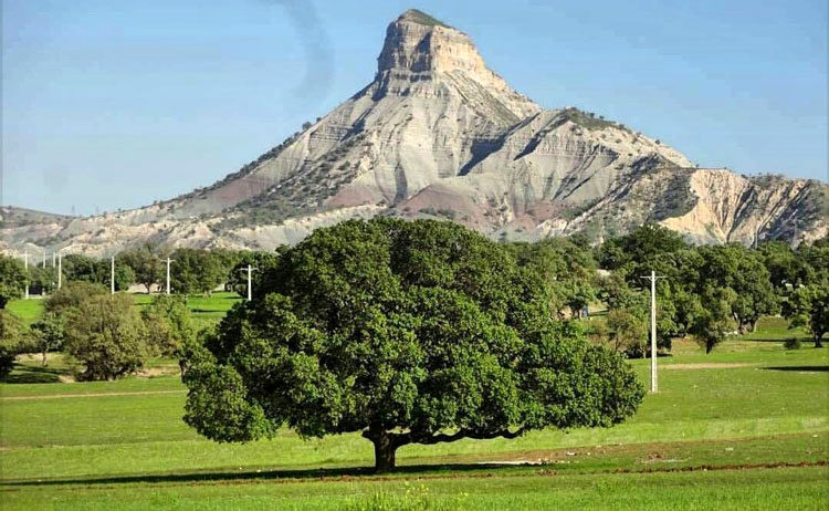 ایلام در هفته ای که گذشت