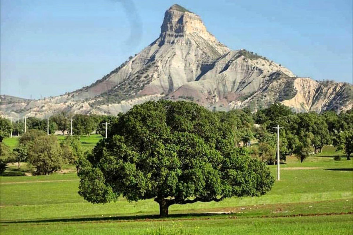 ایلام در هفته ای که گذشت