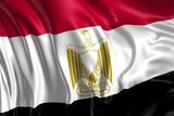 کشور مصر هم به شکایت آفریقای جنوبی علیه اسرائیل می‌پیوندد
