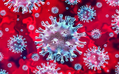 شناسایی 13 مورد جدید مبتلا به ویروس کرونا در کاشان 