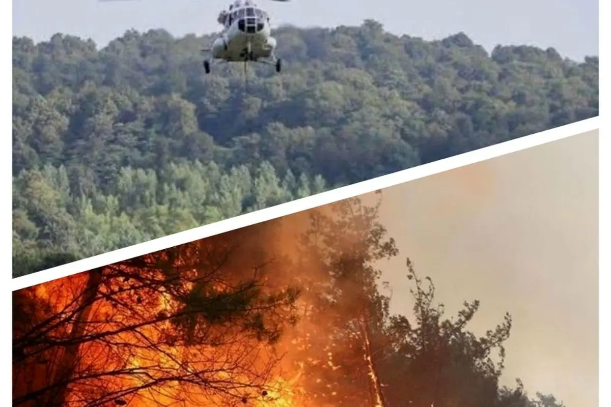 آتش سوزی جنگل های شمال