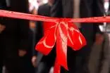 وزارت کشور از افتتاح ۲۸ هزار و ۹۱۵ پروژه در هفته دولت خبر داد