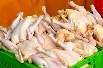 جلوگیری از خروج غیرقانونی مرغ از هرمزگان