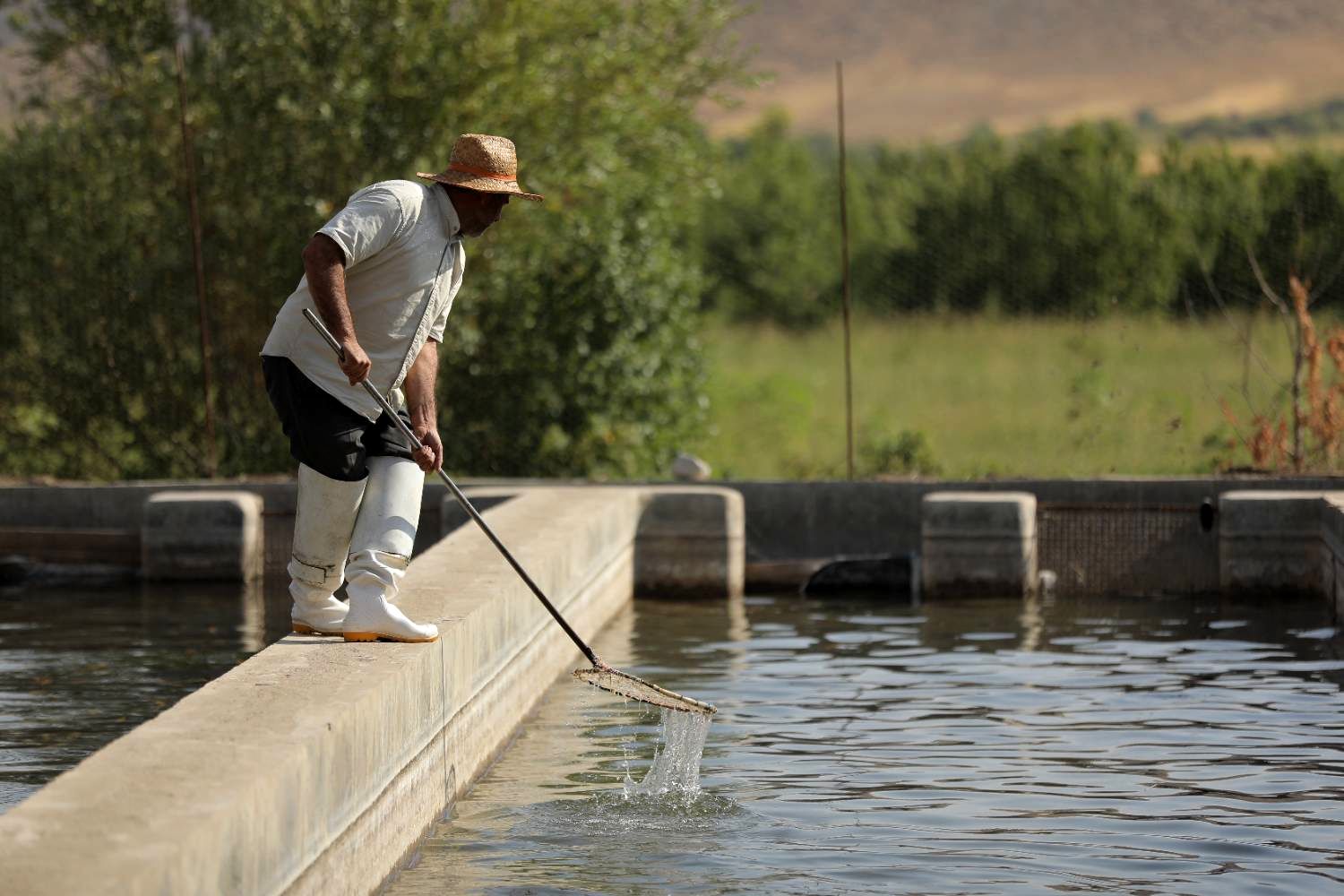  پرورش ماهیان سردآبی در استان فارس با حمایت بنیاد برکت شروع شد
