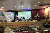 نخستین جشنواره "لیمو ترش" رودان در حال برگزاری است