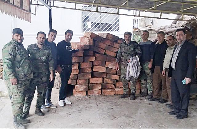 کشف یک محموله چوب قاچاق در عباس آباد