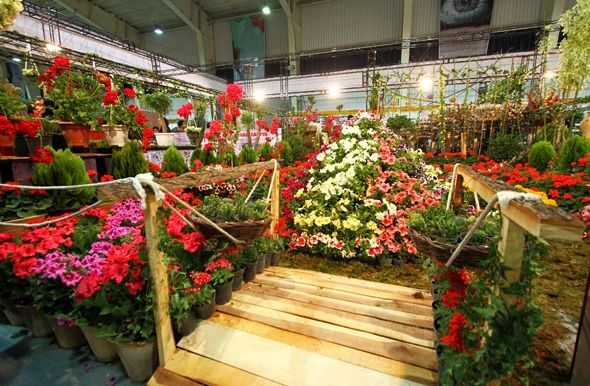 هفتمین نمایشگاه تخصصی گل و گیاه در اصفهان برگزار می شود