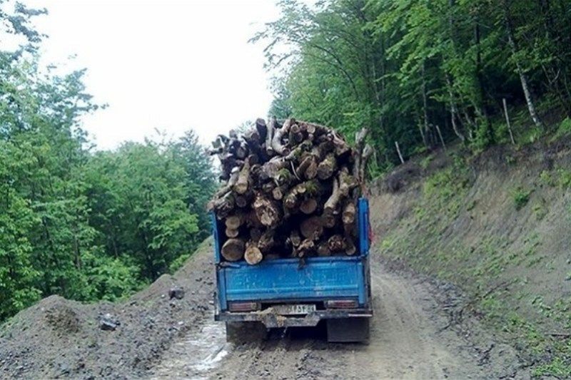 دستگیری بزرگ‌ترین قاچاقچی چوب در عباس آباد