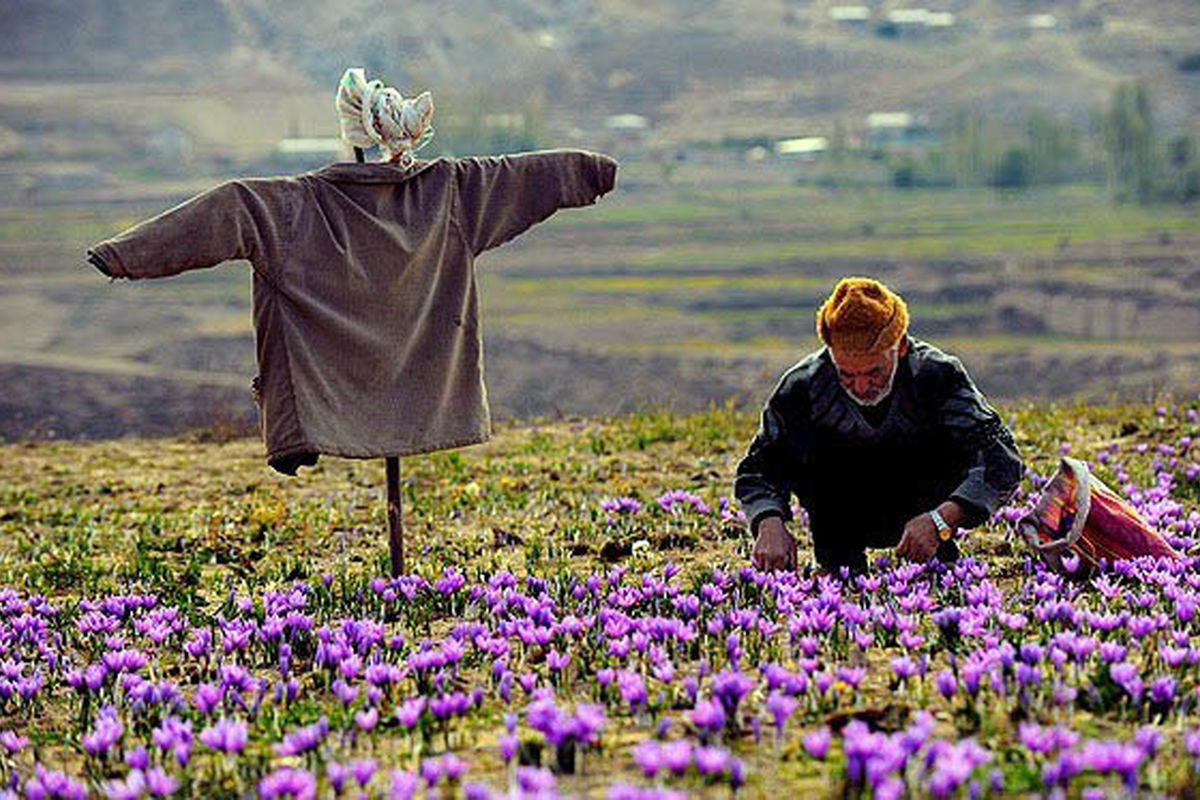 ایجاد ۱۷۳ هزار شغل در روستاهای کشور