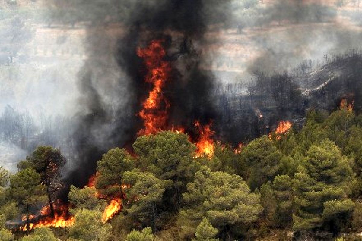 کاهش 66 درصدی در آتش‌سوزی جنگل‌های کرمانشاه/98 درصد عامل آتش‌سوزی‌ها انسانی است
