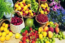 صادرات 2 هزار تن محصولات کشاورزی از جویبار به خارج کشور