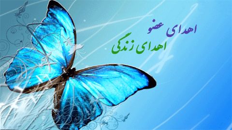 اعضای بدن خانم ۴۰ ساله مرگ مغزی در قم اهدا شد