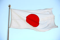 زلزله ژاپن 400 کشته و مجروح بر جای گذاشت