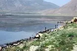 کاهش ۶۰ درصدی ذخیره آب تالاب چغاخور نسبت به سال گذشته