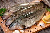 سرانه مصرف ماهی در بروجرد 7 کیلوگرم است