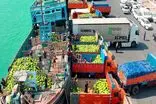 رشد ۲۵ درصدی تخلیه و بارگیری کالاهای غیرنفتی در بنادر غرب هرمزگان