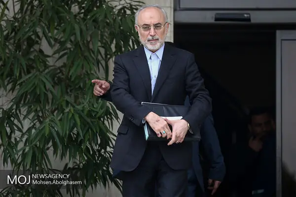علی‌اکبر صالحی رئیس بنیاد ایران‌شناسی شد