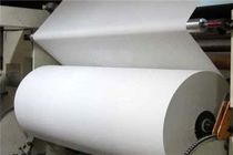 تولید داخلی کاغذ تنها امکان تامین 10 ایل 20 درصد نیاز را دارند