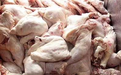 قیمت گوشت مرغ در بازار 35 هزار تومان شد / عرضه مرغ 50 درصد کاهش یافت