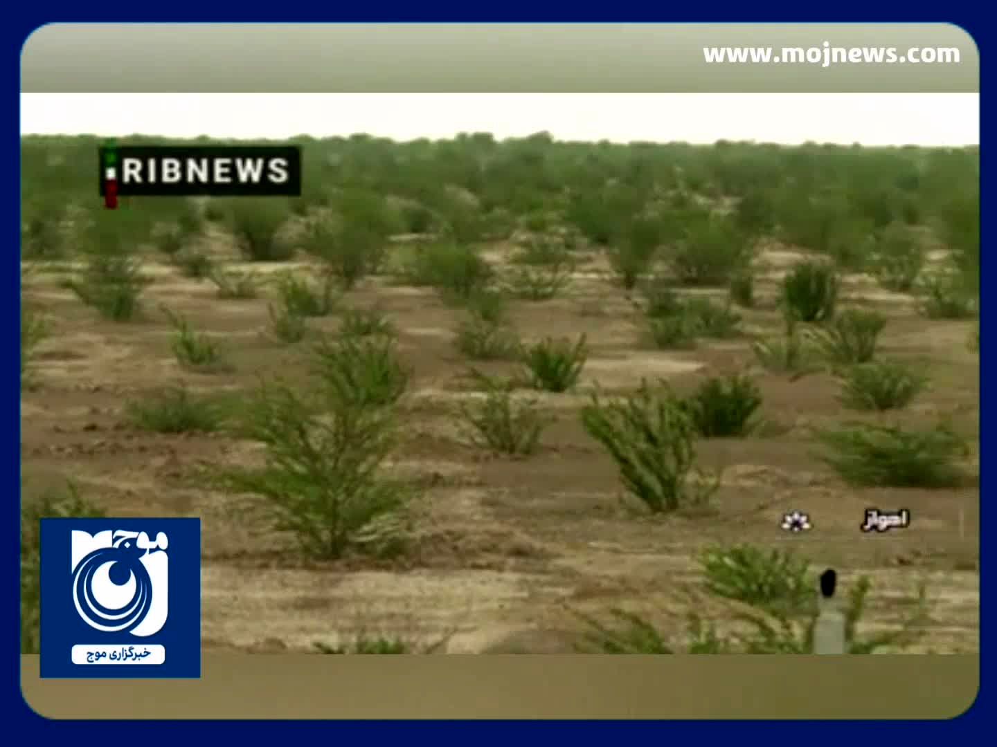 ادامه کاشت نهال در طرح کاشت یک میلیارد درخت + فیلم