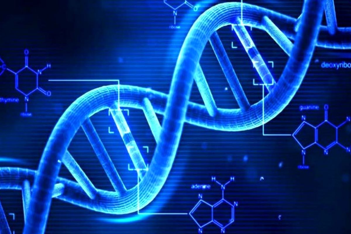چینی ها با ابزاری جدید بازنویسی DNA انسان را آغاز می کنند