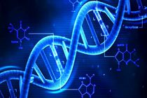 چینی ها با ابزاری جدید بازنویسی DNA انسان را آغاز می کنند