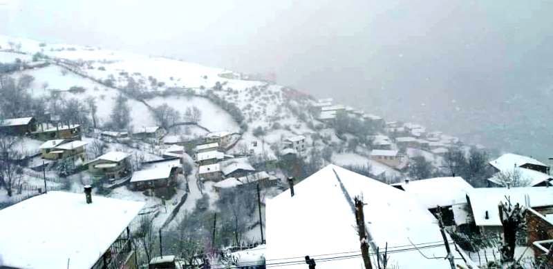 بارش نخستین برف سال 1400 در کجور و کلاردشت مازندران