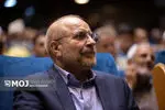 گلستان برای توسعه نیاز به هم افزایی و دوری از نگاه جزیره ای دارد