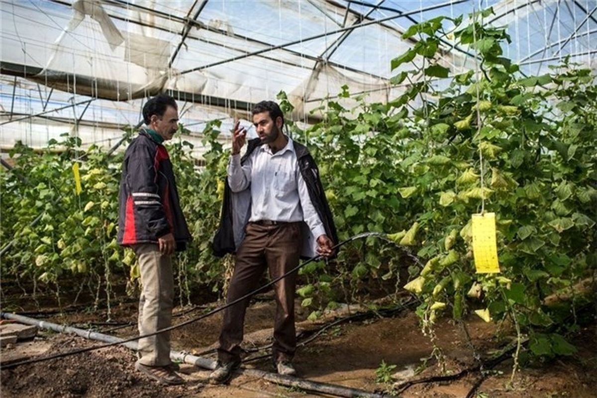 صدور مجوز تاسیس ۲۴ شهرک خصوصی گلخانه ای/تنها راه علاج خشکسالی کشور توسعه گلخانه ها است