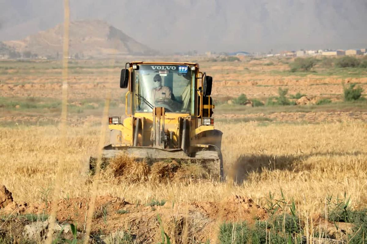 مزارع آلوده گندم و جو حومه شیراز تخریب شد