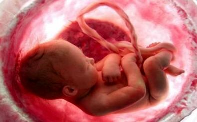 دیه جنین در همه مراحل سقط واجب است
