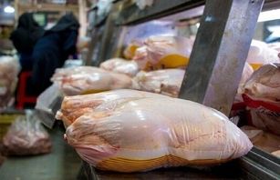 عرضه گوشت مرغ در بهمن ماه ۱۱ درصد رشد داشته است 
