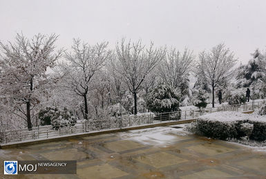 برف و باران در راه شمال و غرب کشور