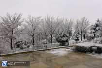 برف و باران در راه شمال و غرب کشور