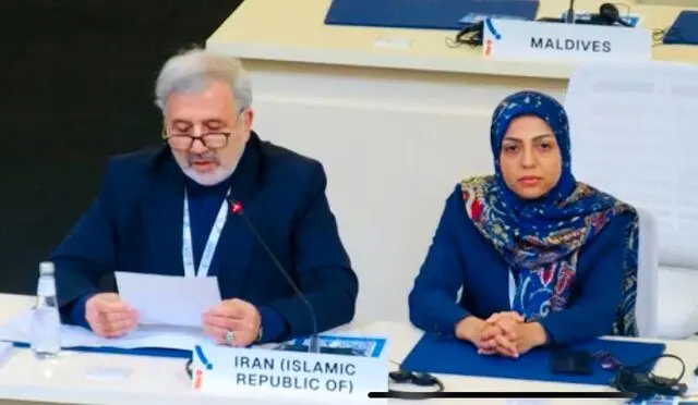 ایران عضو دو رکن کلیدی تصمیم‌سازی سازمان توسعه صنعتی شد