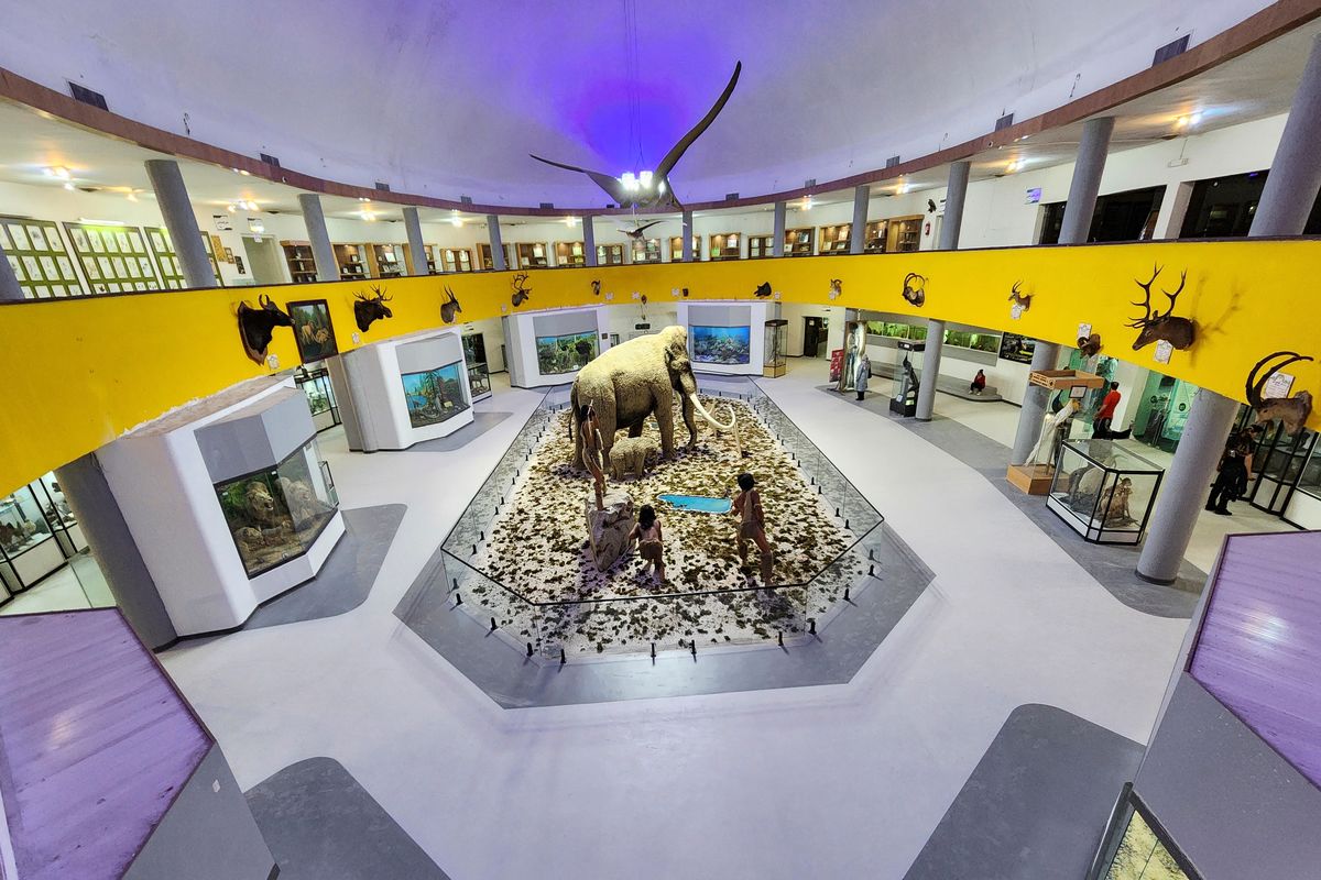 موزه تاریخ طبیعی و تکنولوژی دانشگاه شیراز به‌عنوان یکی از موزه‌های برتر کشور