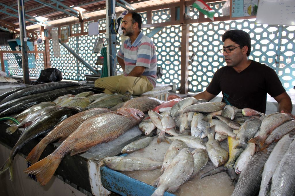گرانی قیمت ماهی در بندرعباس توجیه پذیر نیست