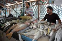 گرانی قیمت ماهی در بندرعباس توجیه پذیر نیست
