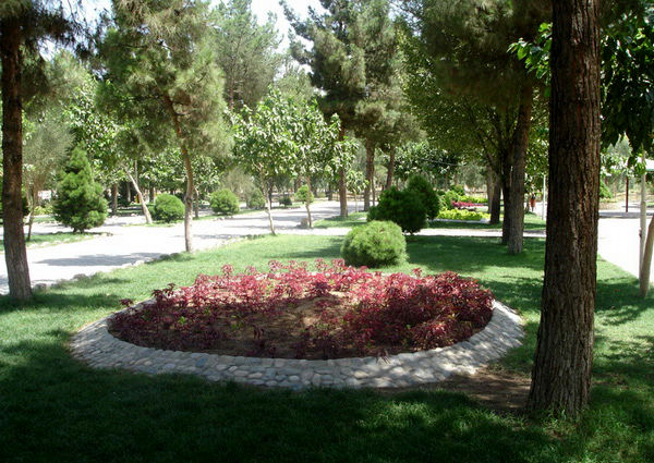 باغ ویژه بانوان در تمام مناطق قم احداثمی‌شود