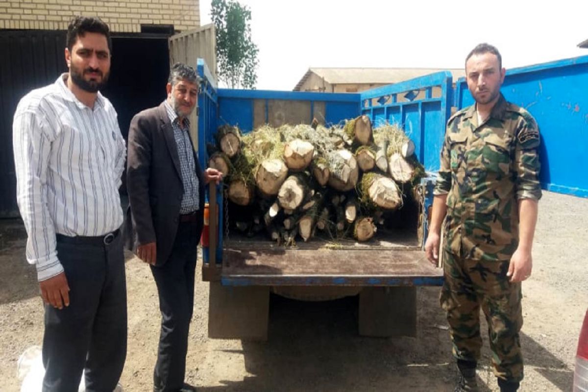 کشف 70 اصله قنداق قاچاق جنگلی در شهرستان نمین