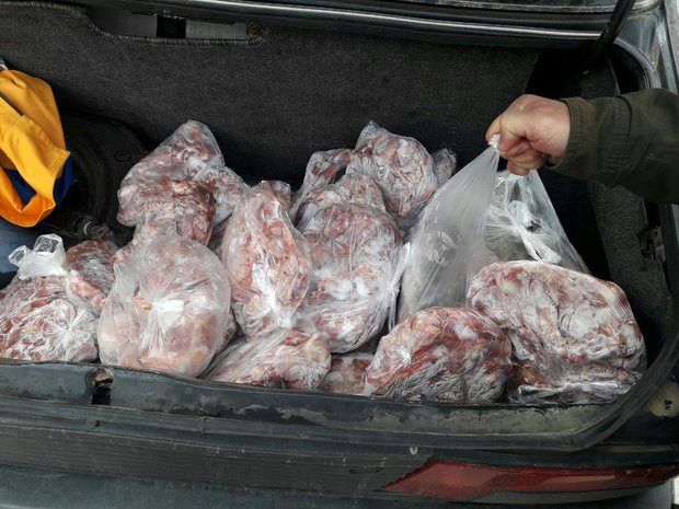 15 تن گوشت غیربهداشتی در کرمانشاه کشف شد