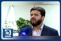 انتخابات مجلس شورای اسلامی در استان تهران الکترونیکی نیست + فیلم