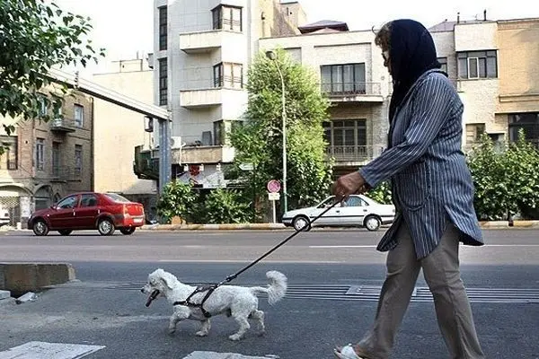 سگ گردانی در اسلامشهر ممنوع شد
