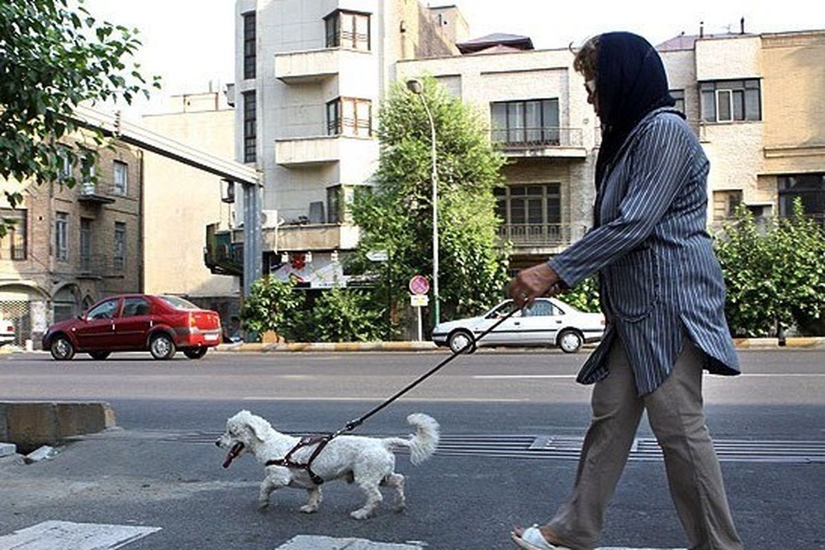  سگ گردانی در محل بازی کودکان در بوستان های تهران ممنوع شد
